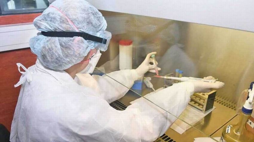 Buena semana epidemiológica con una disminución de fallecidos y de casos positivos