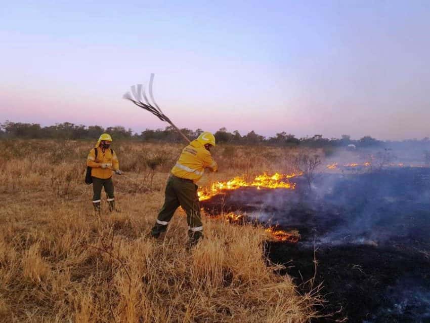 Bomberos intervinieron en varios incendios forestales provocados por irresponsables