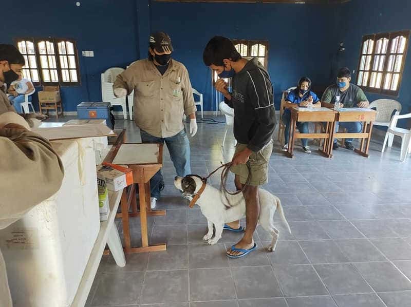 Colonia Pastoril recibió un nuevo operativo de vacunación y desparasitación de mascotas