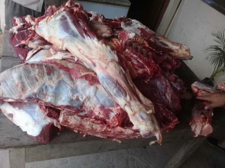 Secuestran más de 160 kilos de carne vacuna faenada
