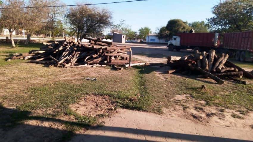 Secuestran postes de madera transportados de forma irregular