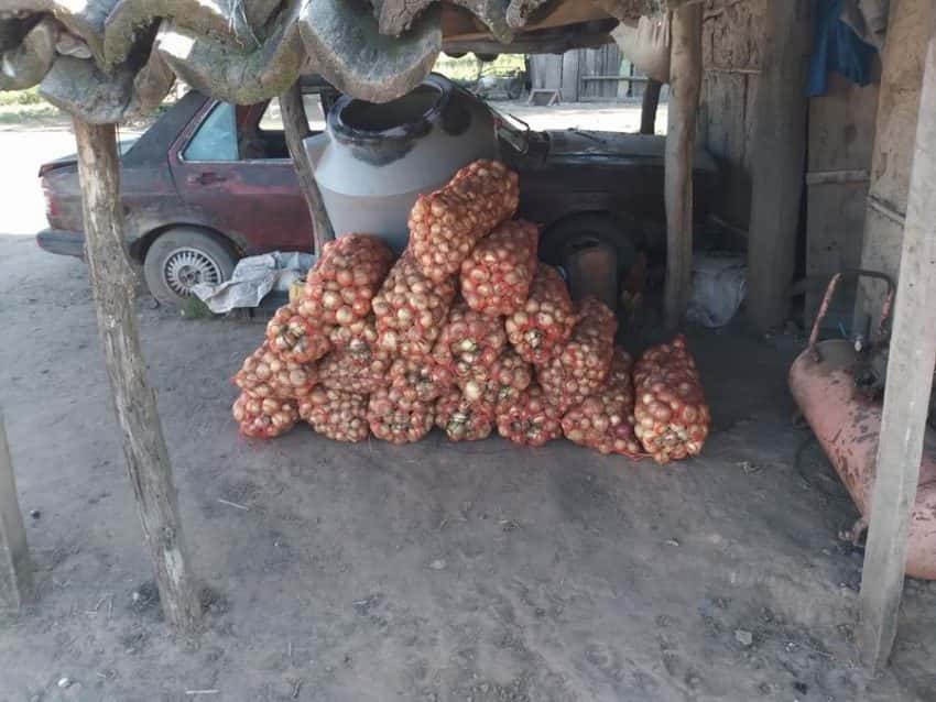 Salieron más de 10.000 kilos de cebollas de la zona Pirané Sur