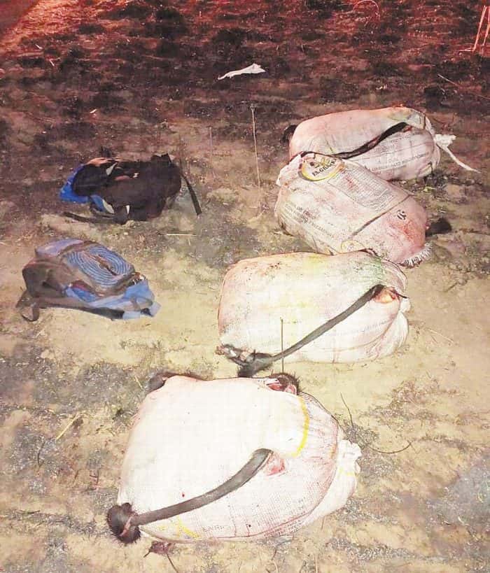 Siete abigeos se enfrentaron a los tiros con la UEAR, y abandonaron más de 200 kilos de carne de búfalo