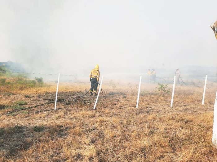 Solo en enero, el Cuerpo de Bomberos intervino en 366 incendios en campos y basurales