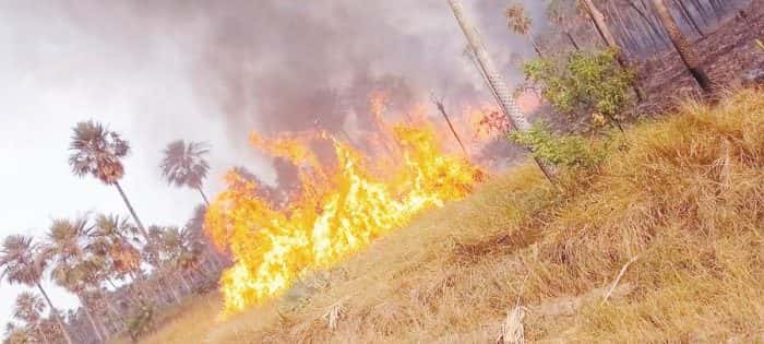 Formosa en alerta de incendios por altas temperaturas y falta de lluvia