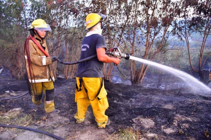 Nueve provincias tienen focos activos de incendios forestales