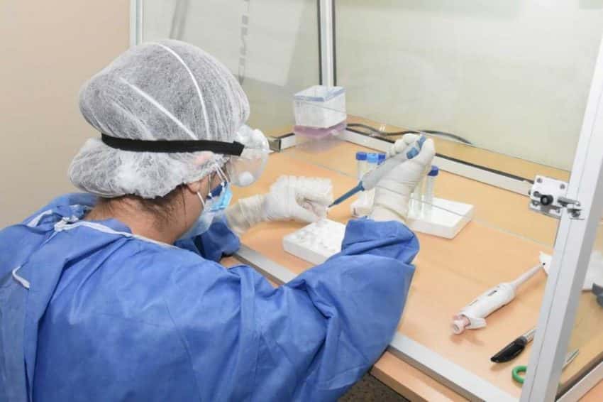 En Formosa se registraron 4 fallecimientos, 1.076 casos nuevos y 1.817 altas médicas