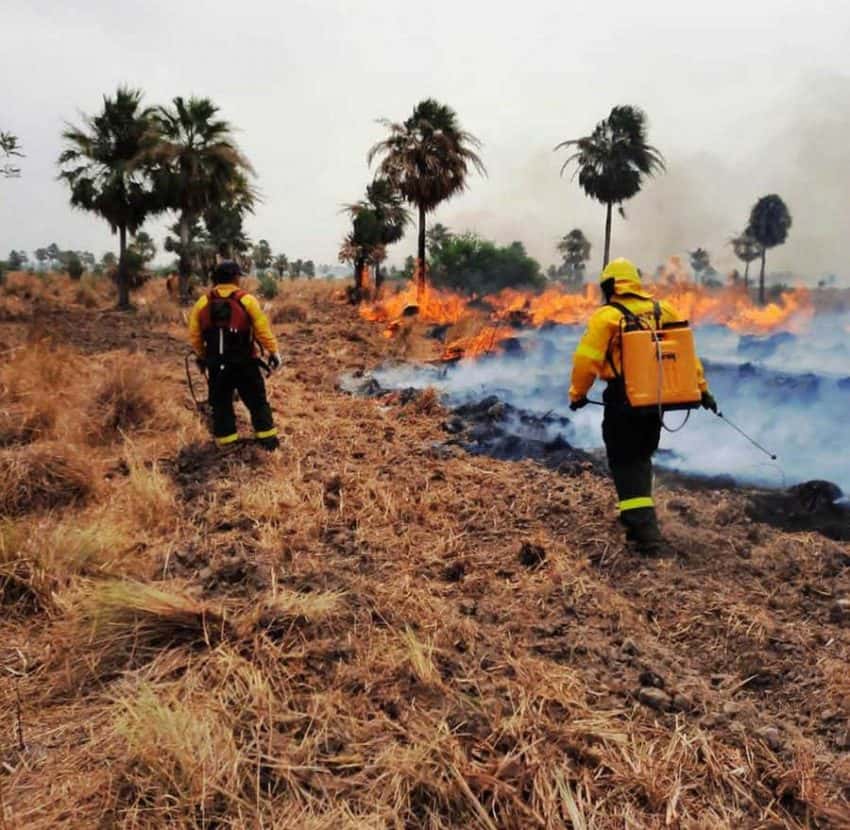 Extinguieron incendio de un campo que pudo haber afectado a la Reserva Guaycolec