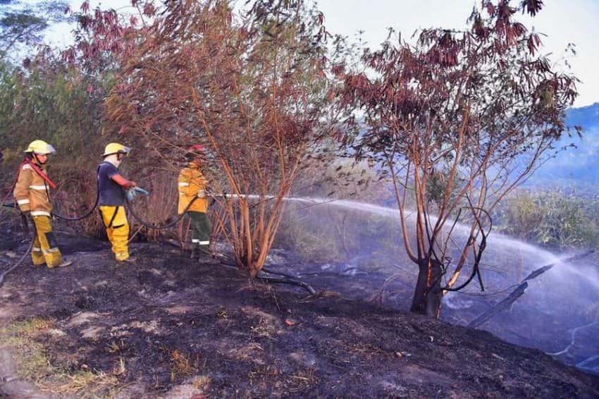 Desde el 1 de enero hubo 17.000 focos de incendios y 350.000 hectáreas quemadas