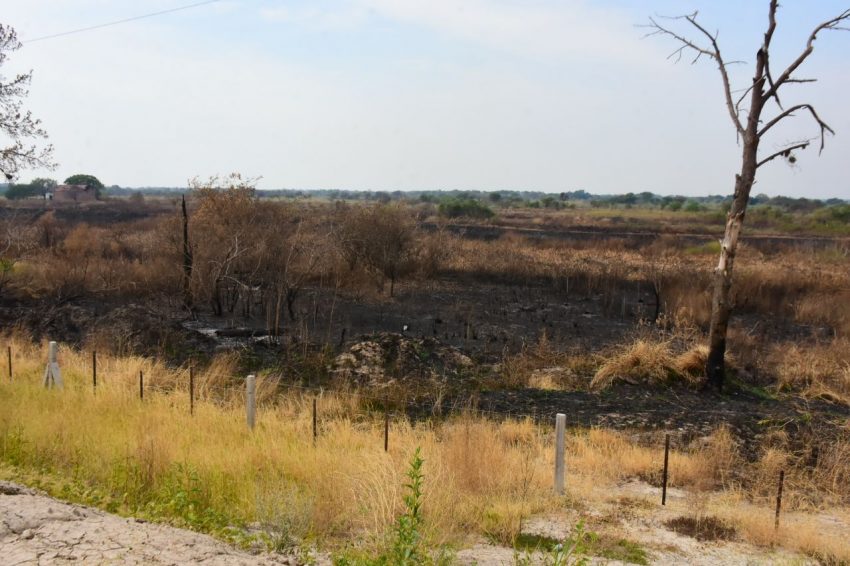 Se reúne la Comisión Nacional de Emergencia Agropecuaria y Formosa presenta los informes