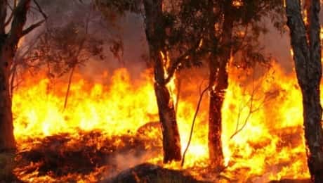 Nuevos focos de incendios en Corrientes generan preocupación