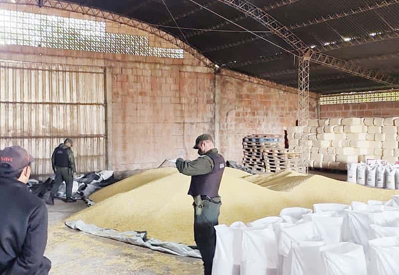 Secuestraron 80 toneladas 
de maíz en 9 allanamientos