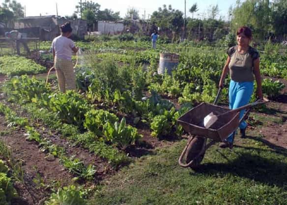 Formosa-Chaco: impulsan el desarrollo de 14 proyectos de producción de alimentos inocuos