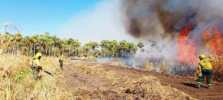 El Cuerpo de Bomberos intervino en varios 
incendios de pastizales en la provincia