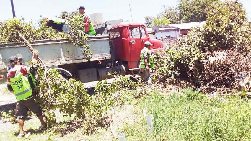 Cuadrillas comunales acentuaron operativos 
de recolección de residuos no convencionales