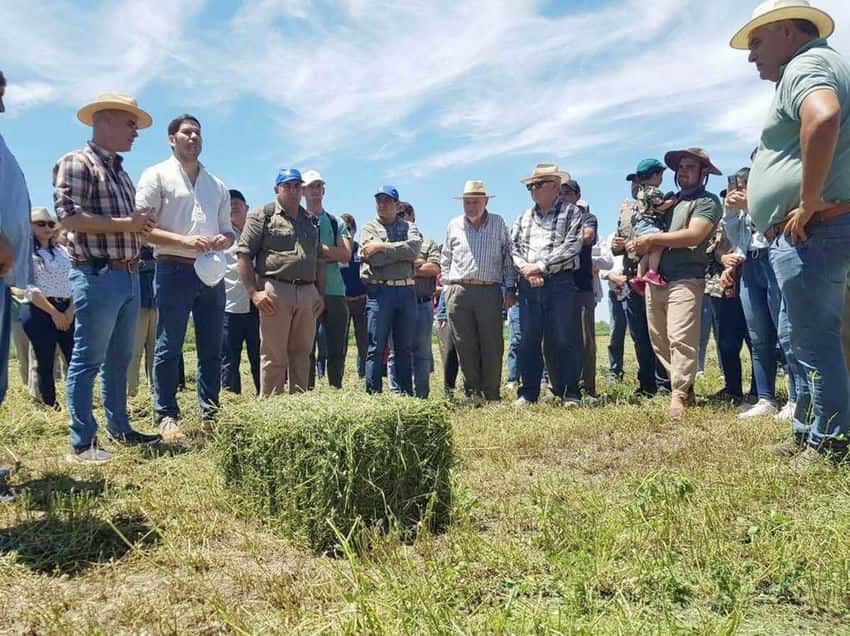 Villafañe: el Ministerio de Producción 
realizó una jornada técnica a productores
