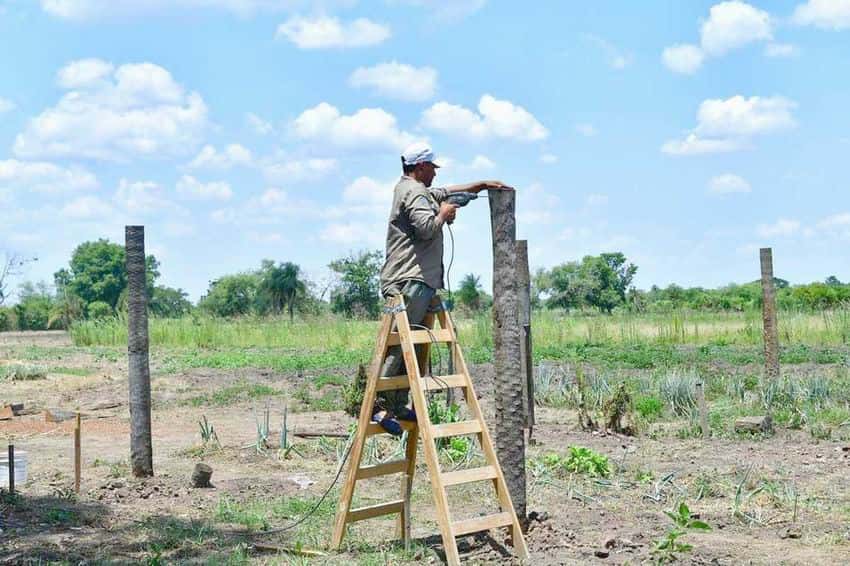 Herradura: instalan sombráculos para 
cultivar hortalizas durante todo el año