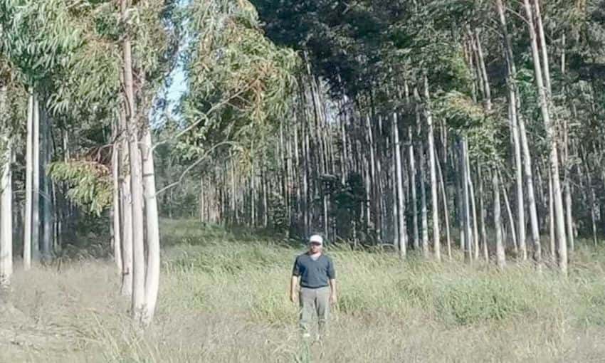 Unitán Saica, la primera empresa foresto industrial en certificar bonos de carbono