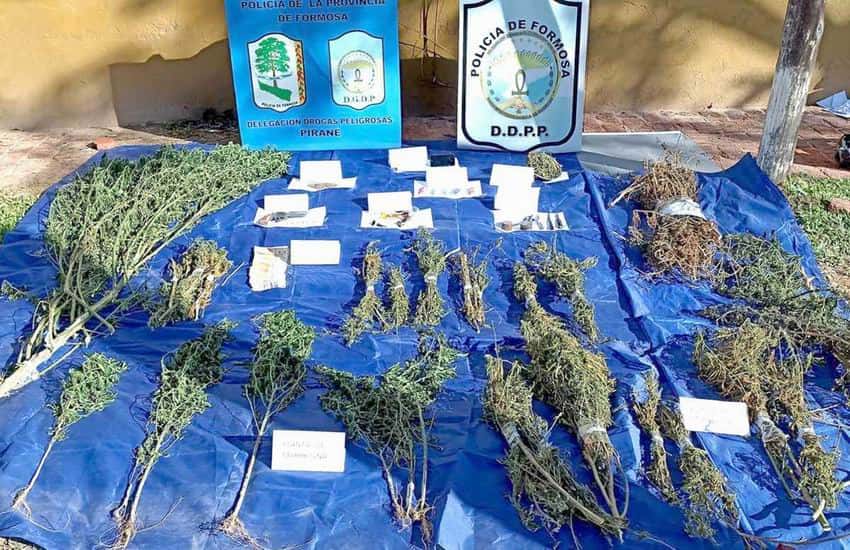Un hombre detenido por 
cultivar y vender marihuana