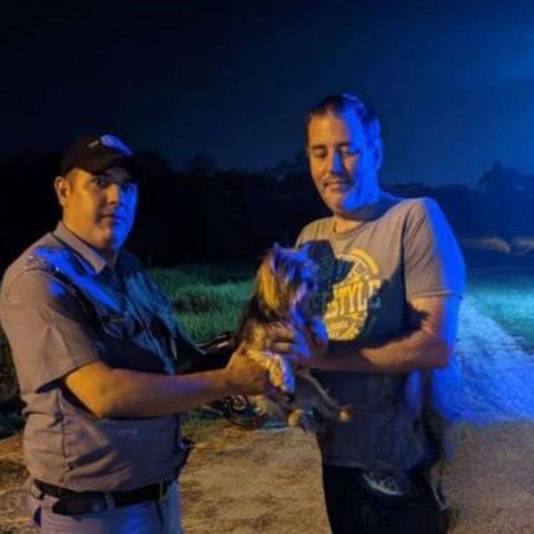 Final feliz en Clorinda: la Policía recuperó a un perro que fue robado