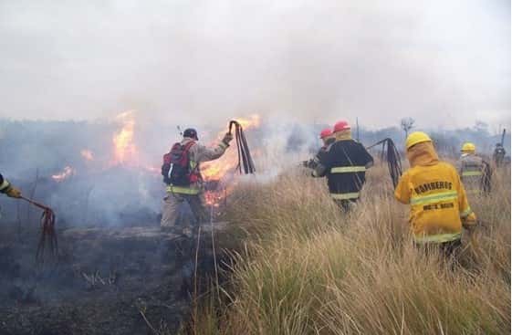 Un incendio de gran dimensión arrasó cientos de hectáreas de un bosque nativo en Formosa