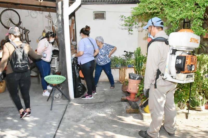 Dengue: Luego de las lluvias solicitan a los 
vecinos intensificar las medidas de prevención