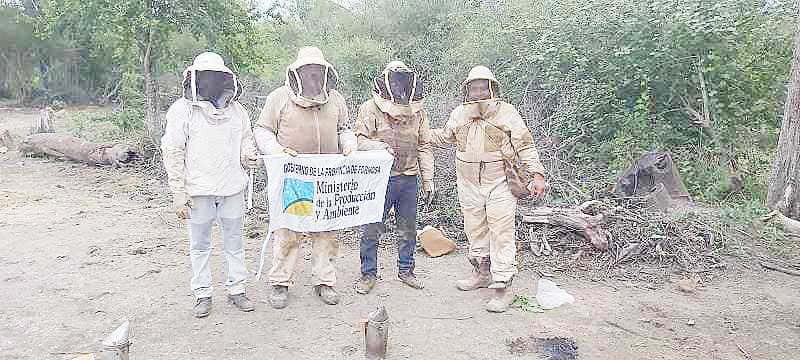 Productores de miel, convocados
al Congreso Apimondia 2023