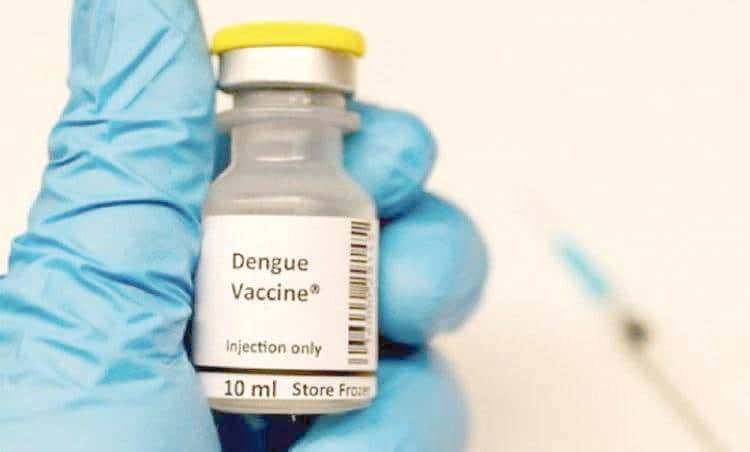 La vacuna contra el dengue llegaría en noviembre al país