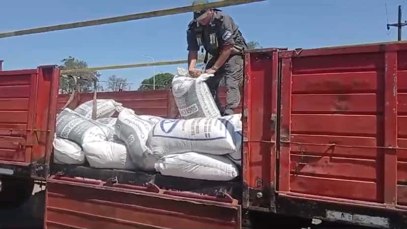 Secuestraron 30 toneladas de granos que eran transportados ilegalmente