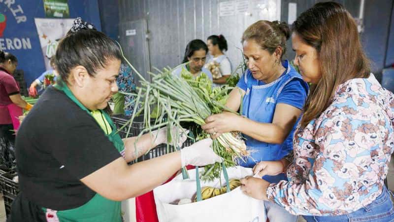 Trabajadores del Potenciar Trabajo 
aportan al desarrollo alimentario