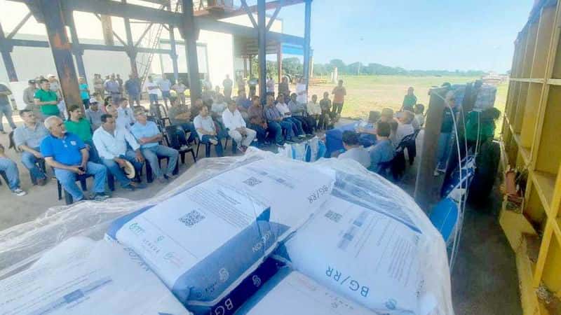 Algodón: productores recibieron 
semillas certificadas y asistencia técnica