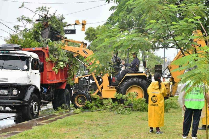 La comuna sigue trabajando para retirar
más de 200 árboles caídos en la ciudad