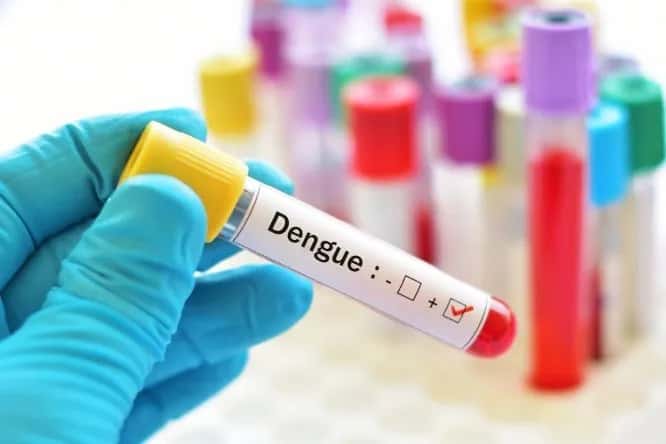 Formosa: ¿Dónde se puede realizar el test de dengue?
