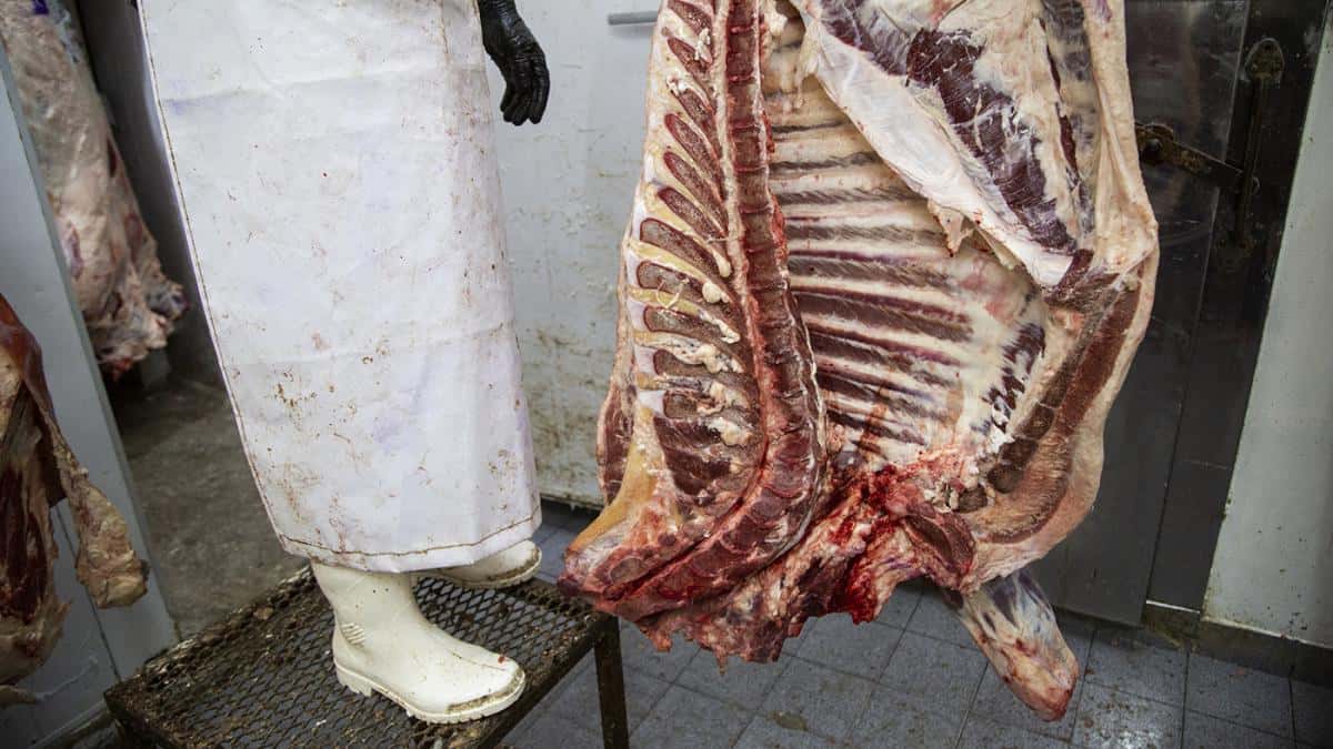 El precio de la carne vacuna aumentó 40,9% en diciembre y sumó 307,3% en un año