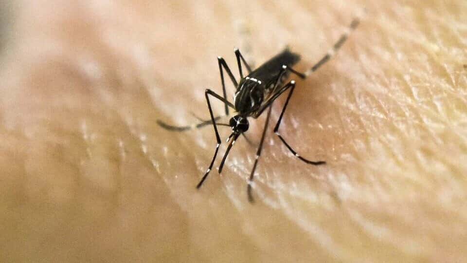 ¿Qué pasa si una persona se enferma de dengue por segunda vez?