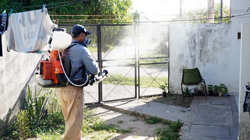 El Gobierno de Formosa intensifica y concientiza contra el dengue