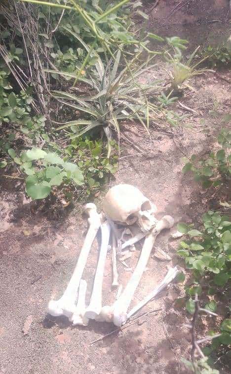 Los Chiriguanos: Hallaron restos óseos humanos en una zona boscosa del Paraje El Peligro