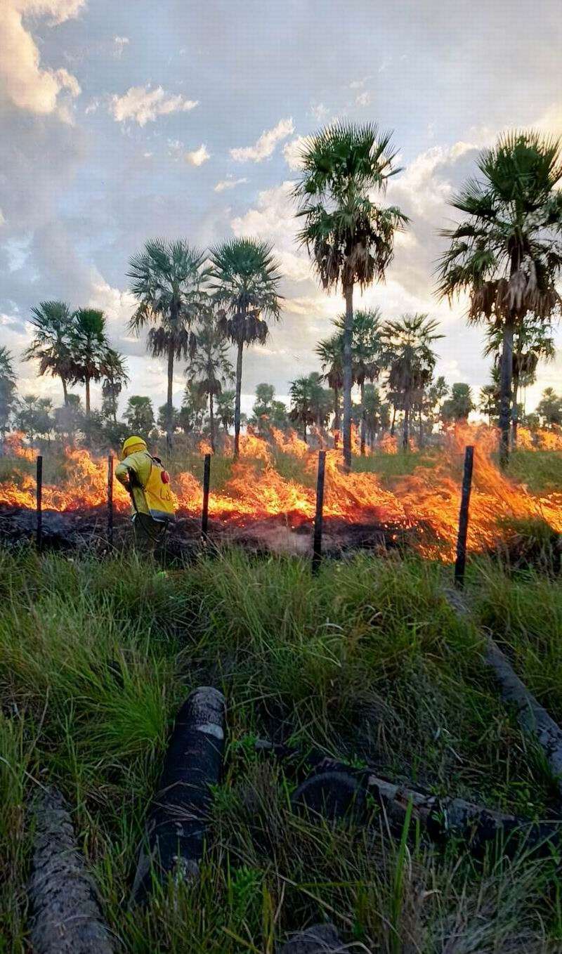 La Policía extinguió un incendio que afectó varias hectáreas de campo