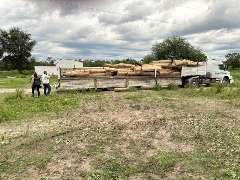 imagen Secuestran 2 camiones con 60 toneladas 
de palo santo y documentación falsificada