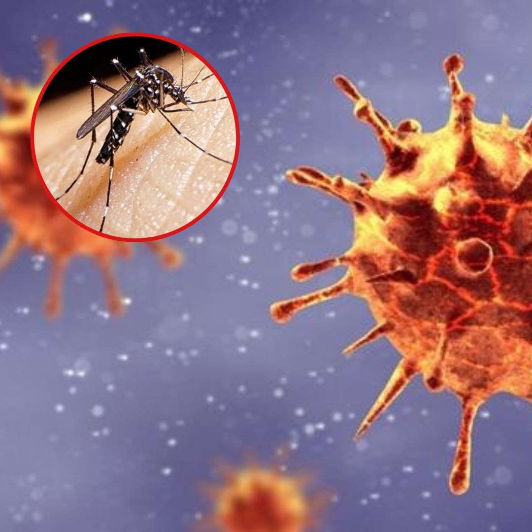Siguen en descenso los casos de dengue y Covid-19 en Formosa