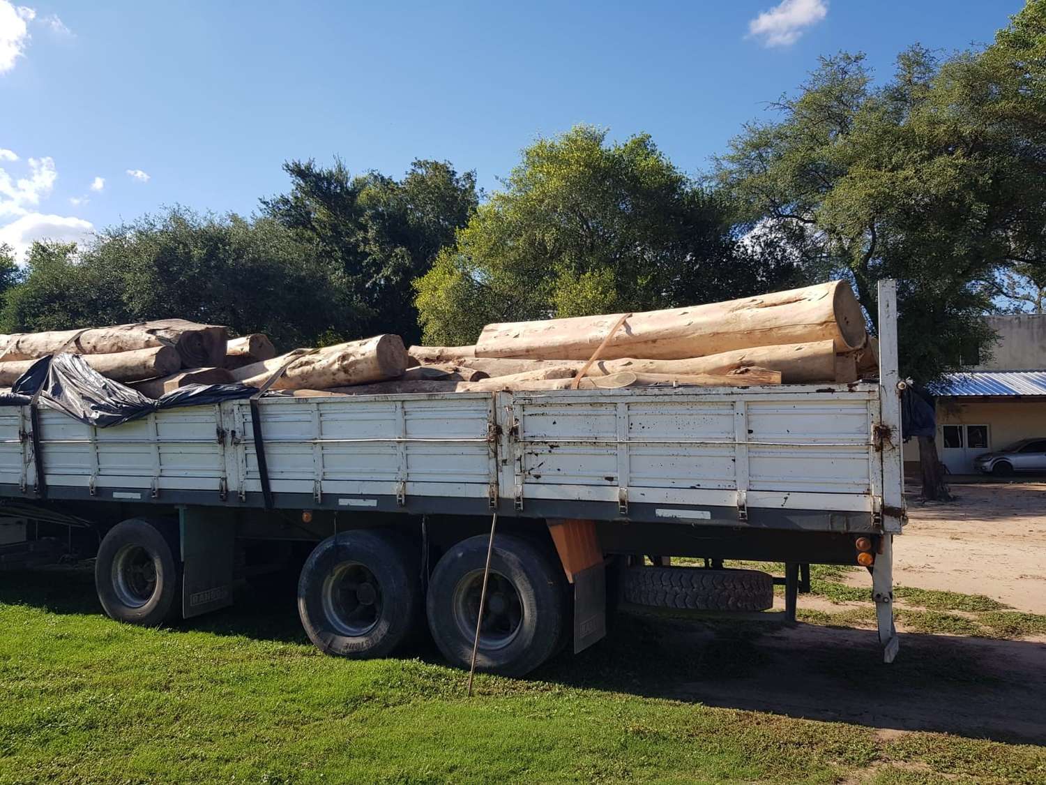 Secuestraron 60 toneladas de palo santo y dos camiones con presunta documentación falsificada