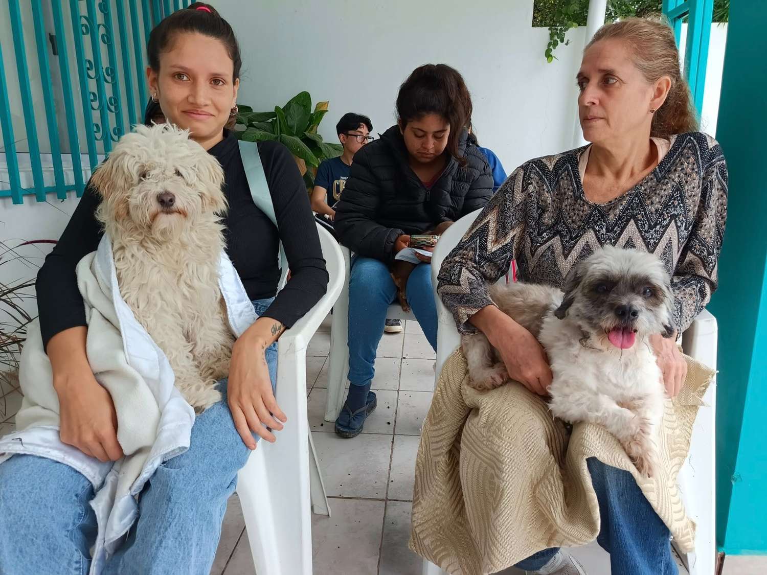 Continúa el servicio de asistencia a los animales en la ciudad