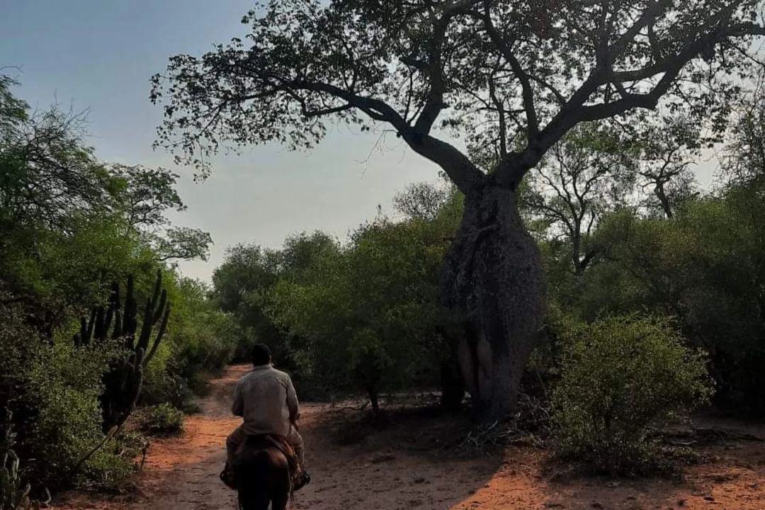 La Reserva Natural Formosa, un paisaje único en la provincia Diario
