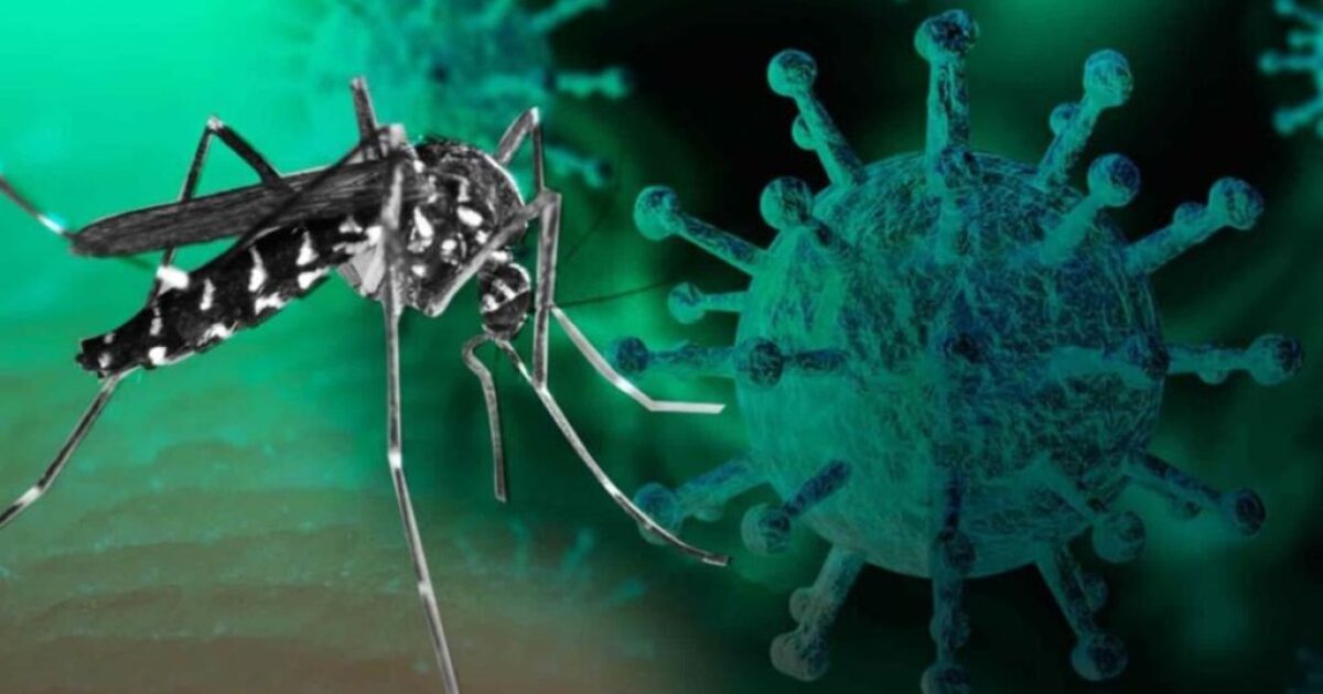 Advierten un aumento de casos de dengue y coronavirus
